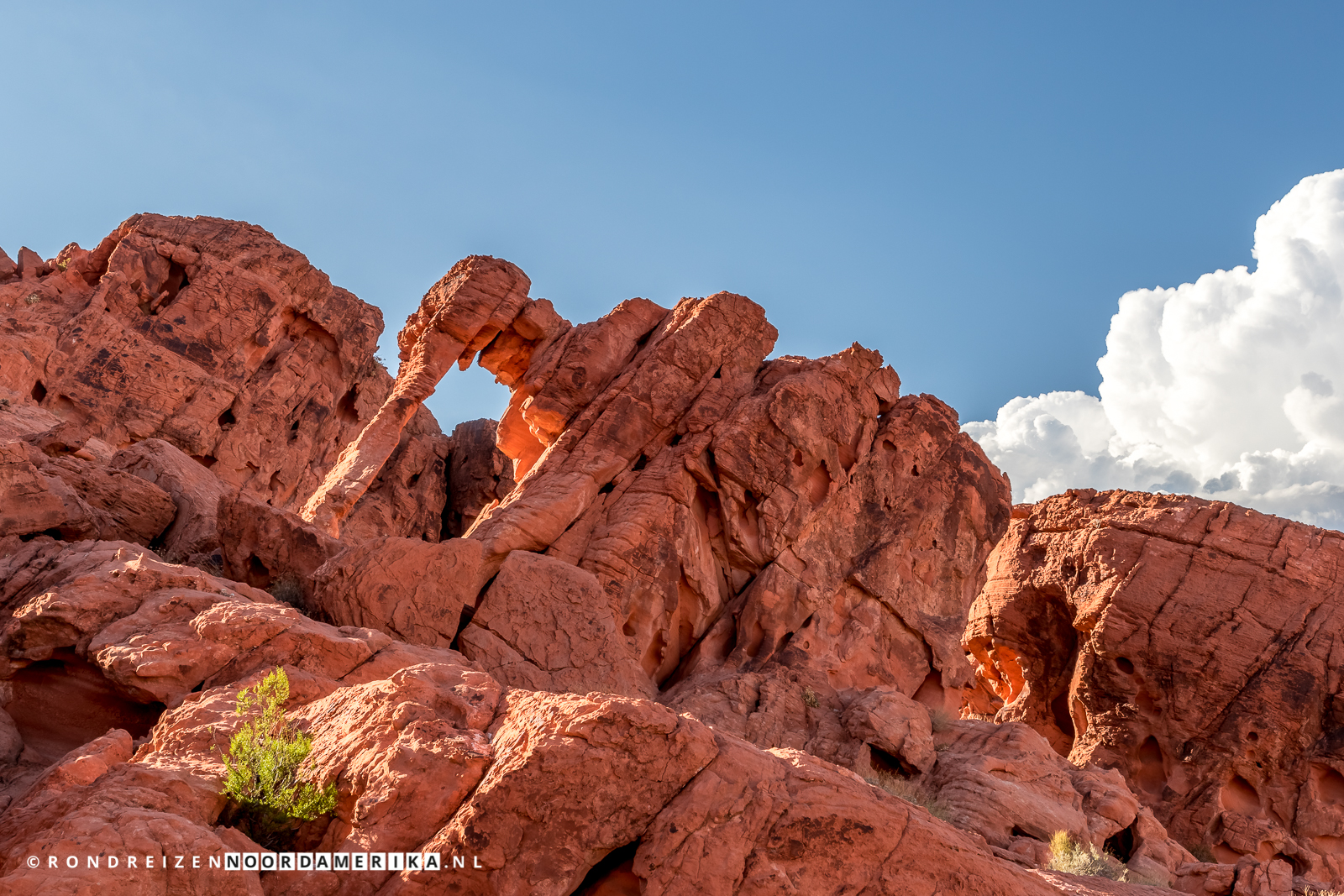 Elephant Rock