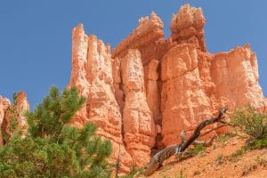 Bryce Canyon NP