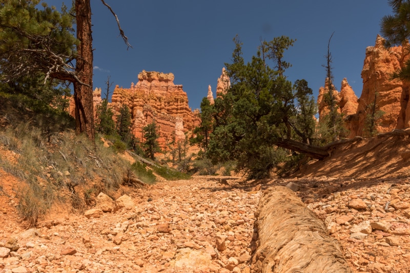 Bryce Canyon NP Navajo Loop Trail