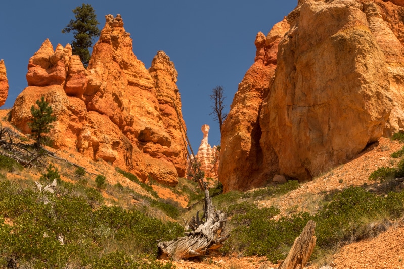 Bryce Canyon NP Navajo Loop Trail