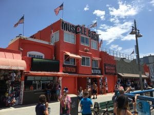 Muscle Beach