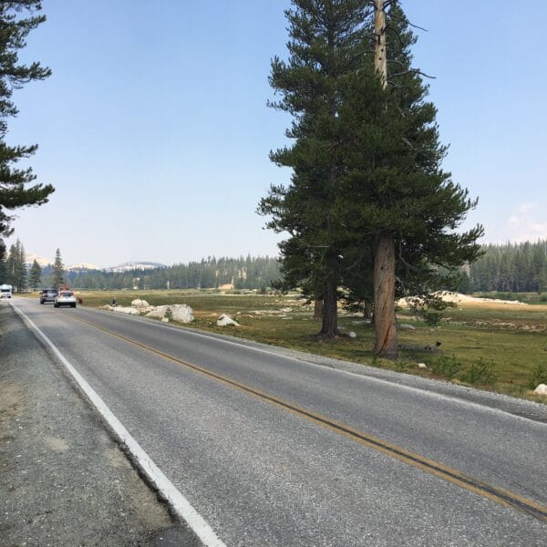 Tioga Pass