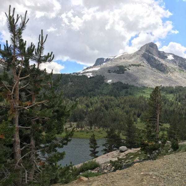 Tioga Pass