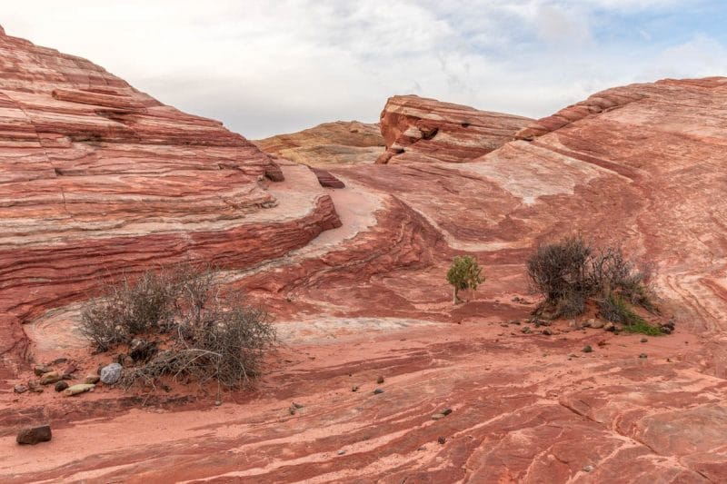 Fire Wave in de Valley of Fire