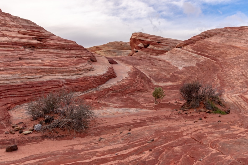 Valley of Fire State Park (AZ)