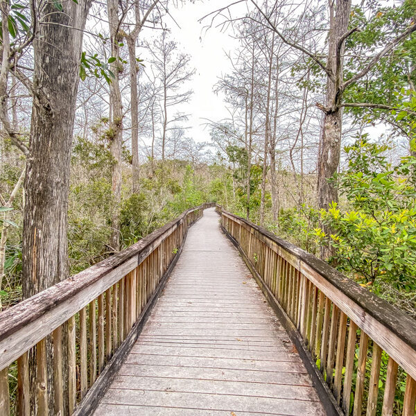 Kirby Storter Boardwalk