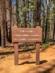 Toegangsbord Tuolumne Grove