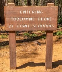 Toegangsbord Tuolumne Grove