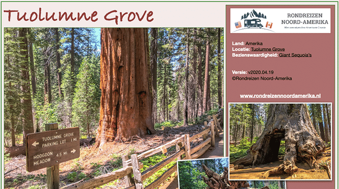 Tuolumne Grove