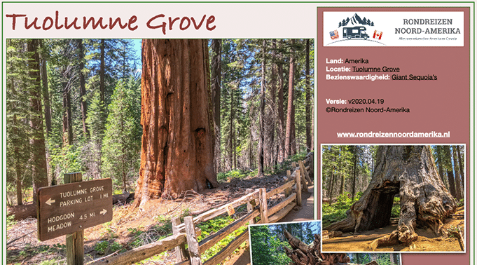 Tuolumne Grove