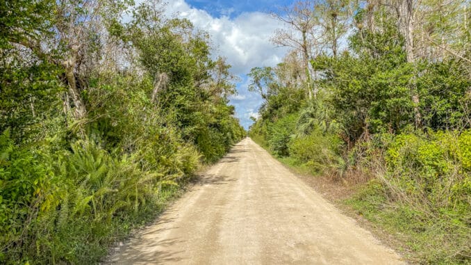 Loop Road Florida