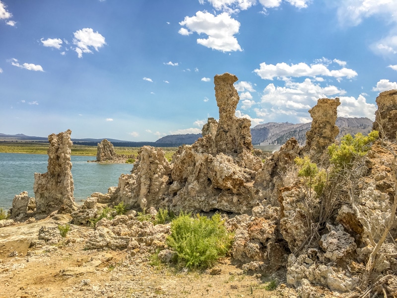 Mono-Lake-800px-20170809-IMG_6265.jpg