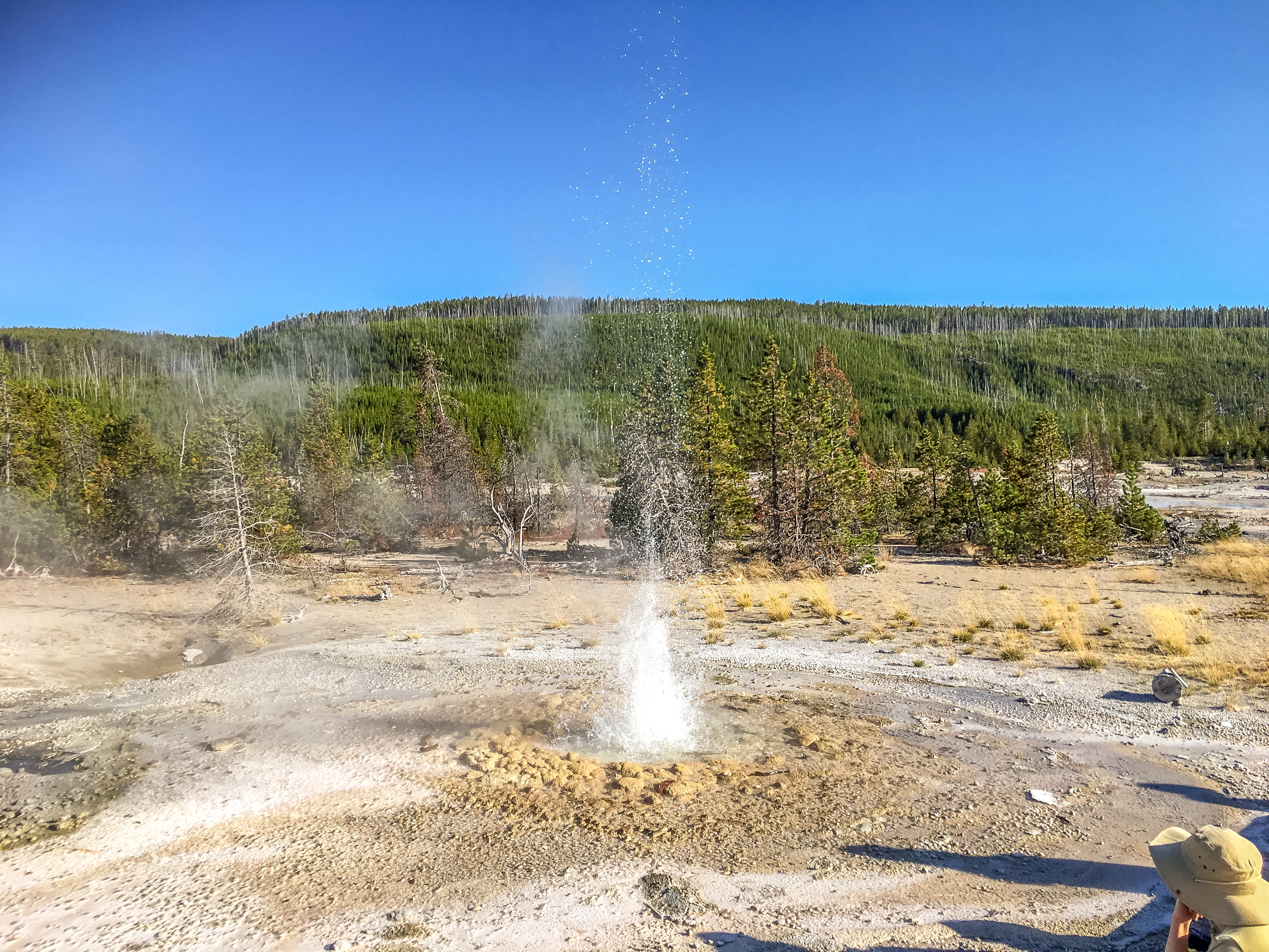 Yellowstone
