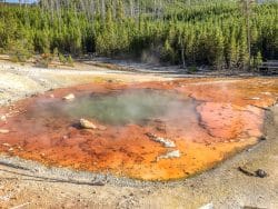 Echinus Geyser Yellowstone