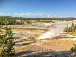 Norris Geyser Basin Yellowstone