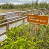 Bobcat Boardwalk Trail