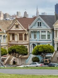 Painted Ladies