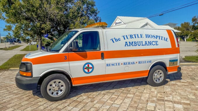 The Turtle Hospital