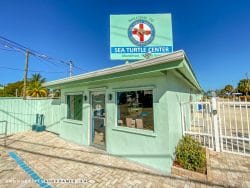 The Turtle Hospital op de Florida Keys