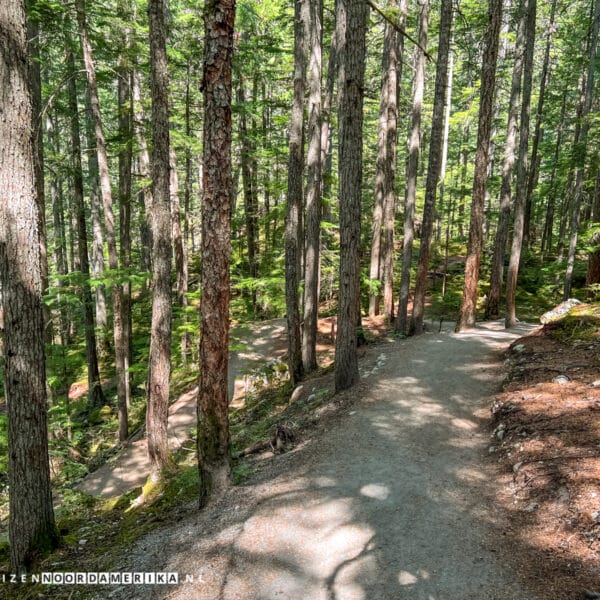 Wandelpad Train Wreck Trail