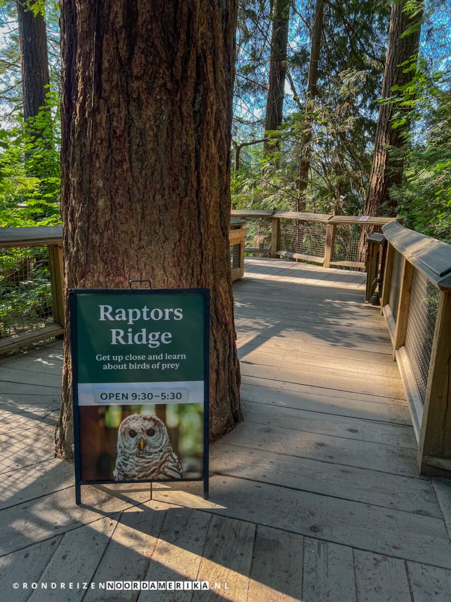 Raptors Ridge in Capilano Suspension Bridge Park