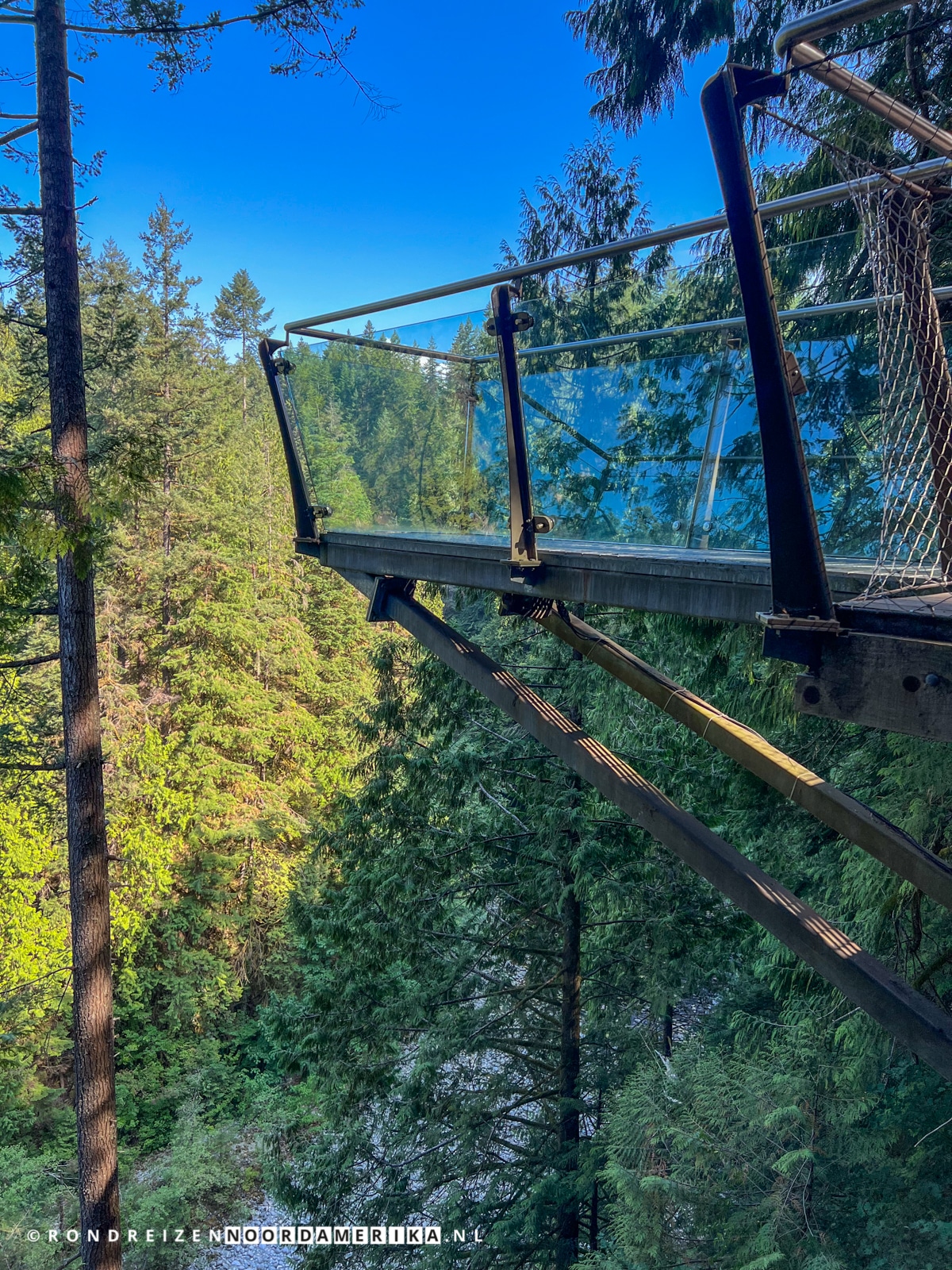 Capilano Suspension Bridge Park Rondreizen NoordAmerika