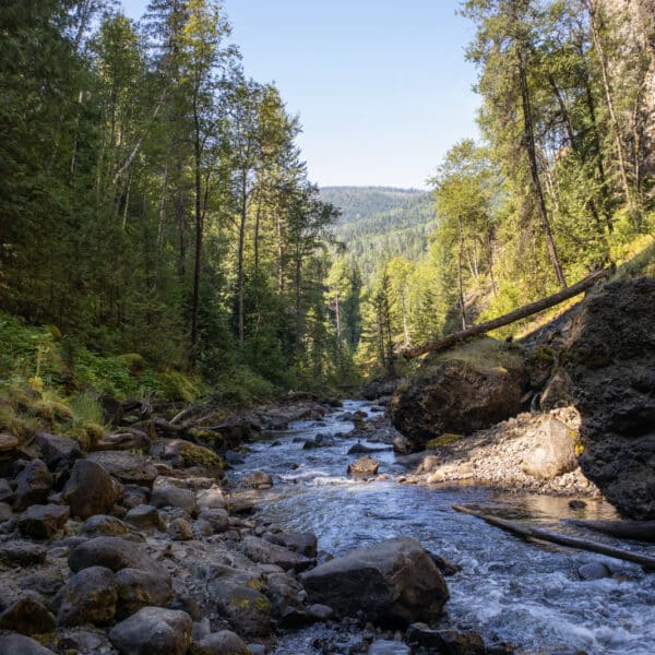 Moul Falls in Wells Gray Provincial Park