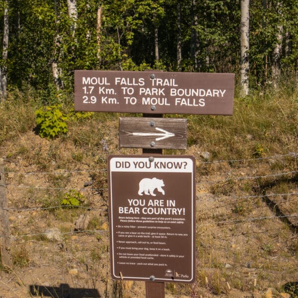 Moul Falls in Wells Gray Provincial Park