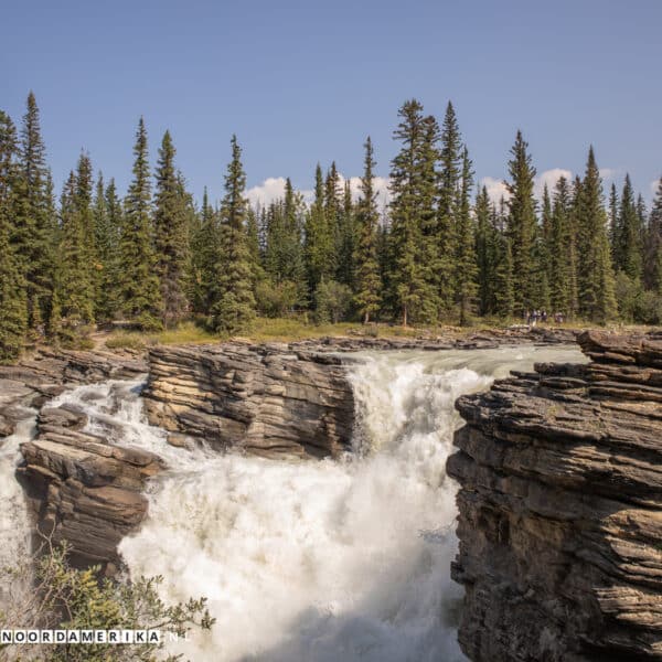 Athabasca Falls