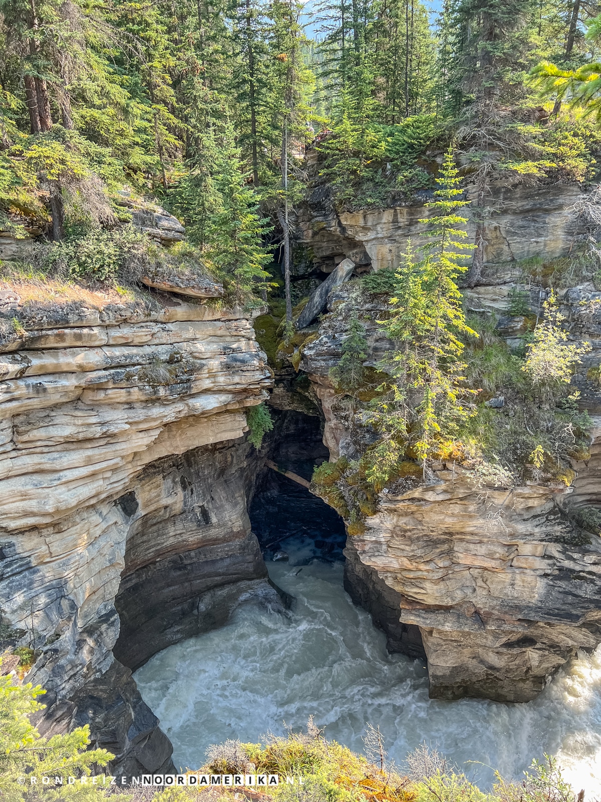 Athabasca Falls