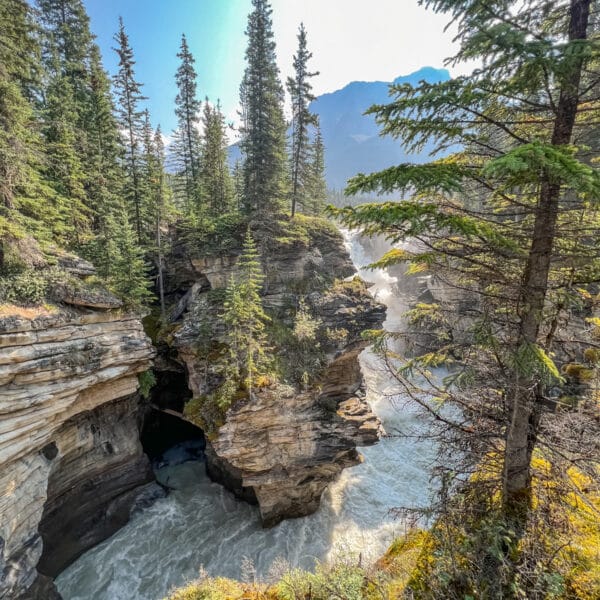 Athabasca Falls