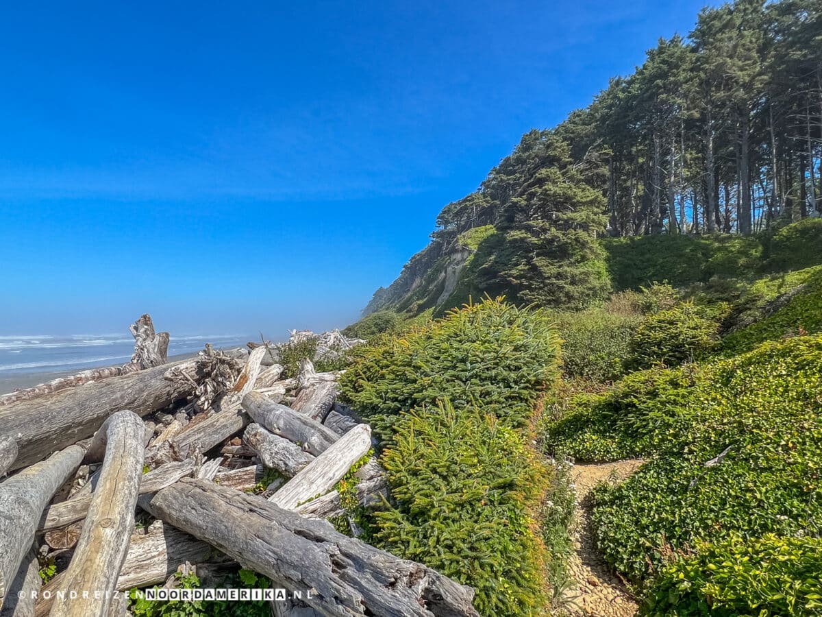 Olympic National Park stranden Beach 1