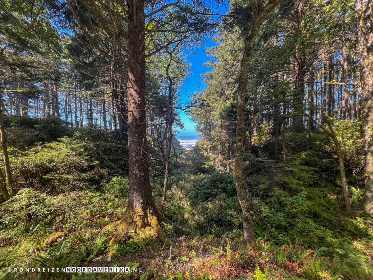 Olympic National Park stranden Beach 2