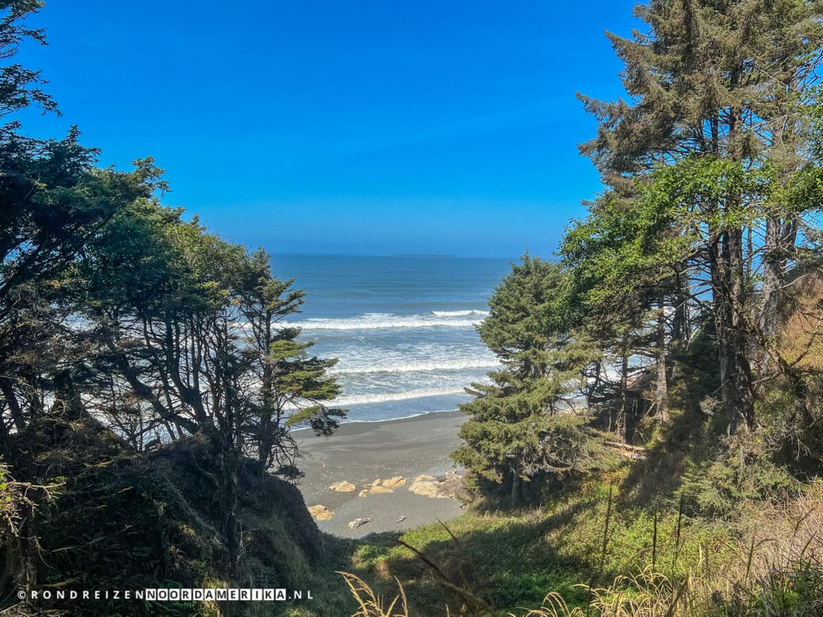 Olympic National Park stranden Beach 3