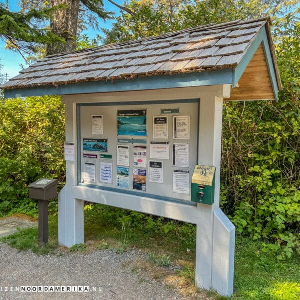 Olympic National Park stranden Beach 4