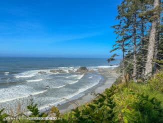 Olympic National Park stranden Beach 4