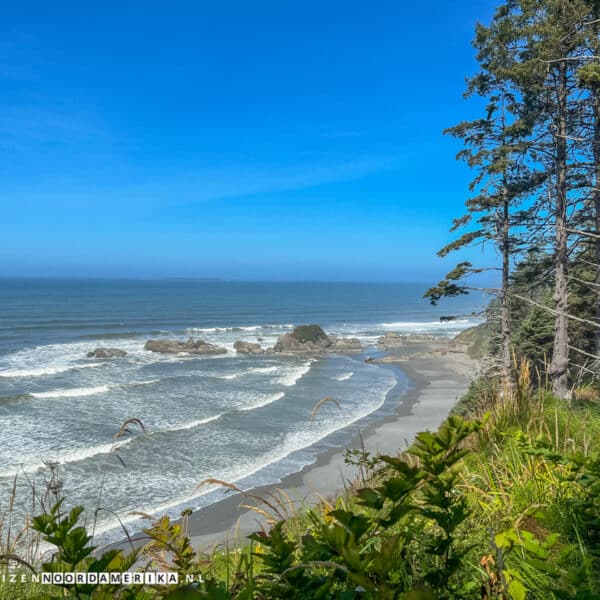 Olympic National Park stranden Beach 4