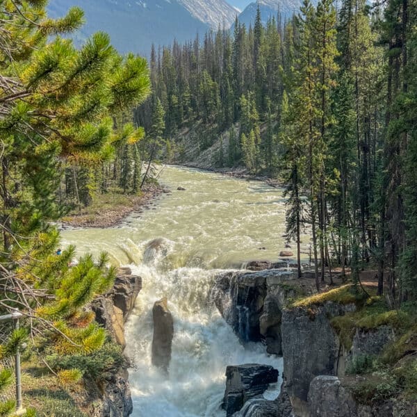 Sunwapta Falls