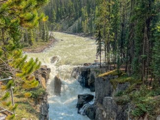 Sunwapta Falls