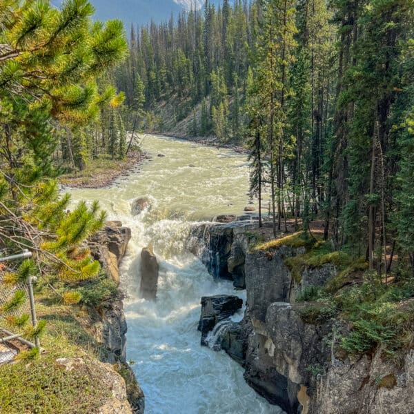 Sunwapta Falls