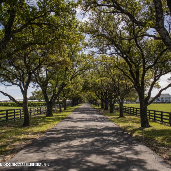 Dallas Southfork Ranch