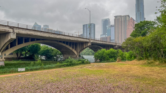 Bat Viewing Site Austin