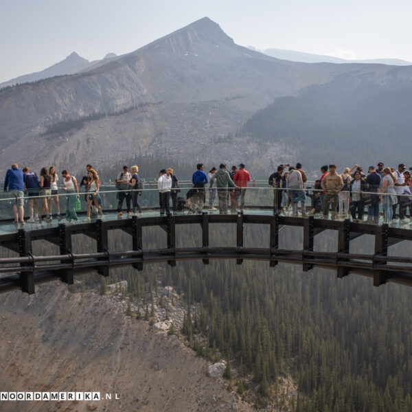 Columbia Icefield Skywalk