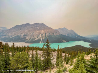 Peyto Lake Banff National Park