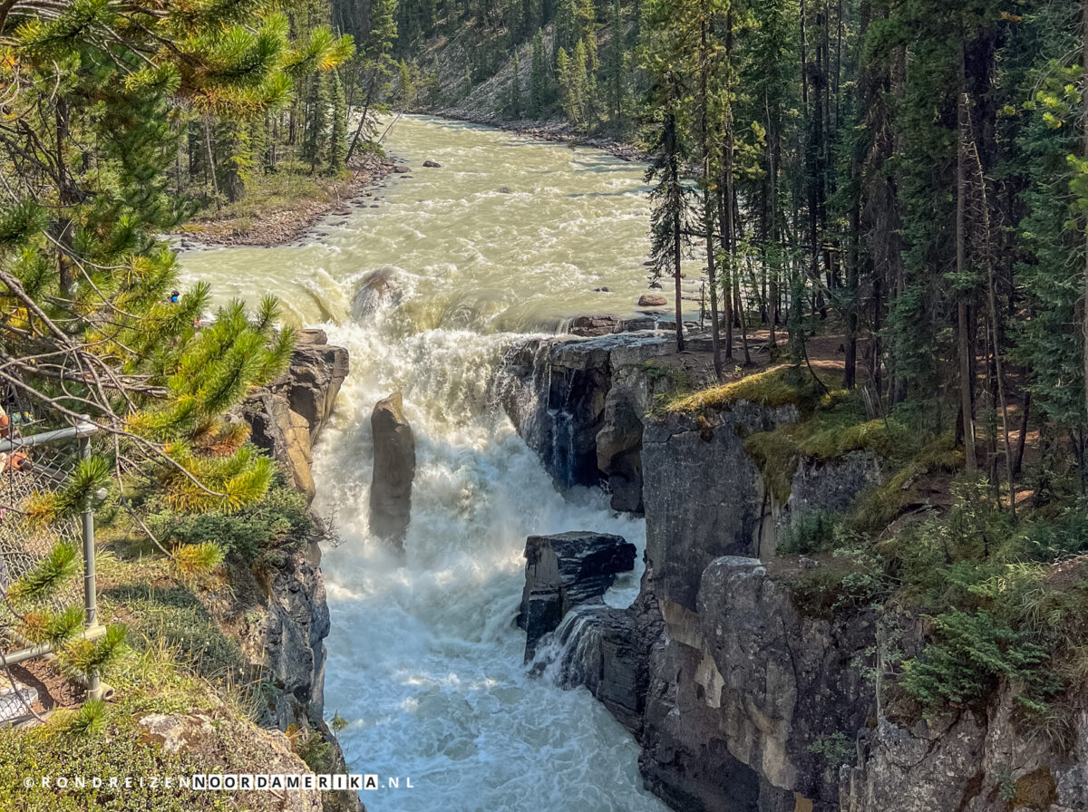 Sunwapta Falls