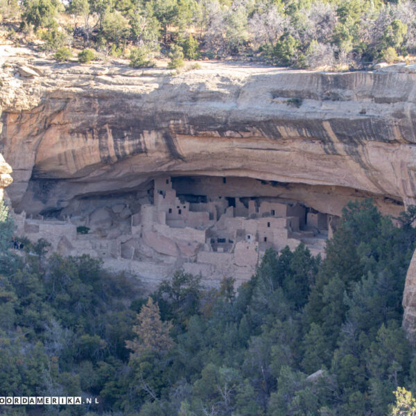Cliff Palace Mesa Verde National Park